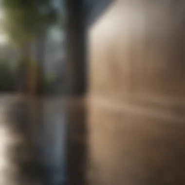 Effective Outdoor Applications of Soft Pressure Washing Techniques Application of soft pressure washing in outdoor settings
