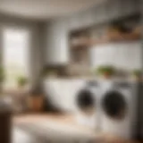 Sophisticated Washer and Dryer Selection