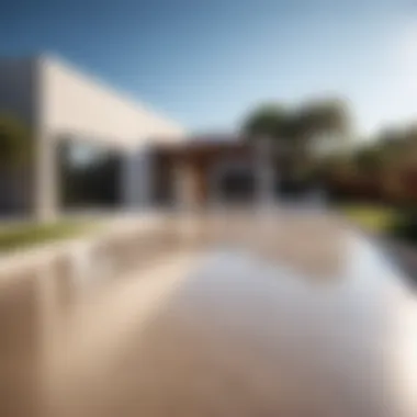 Modern Minimalist Style Stained concrete driveway with modern minimalist style