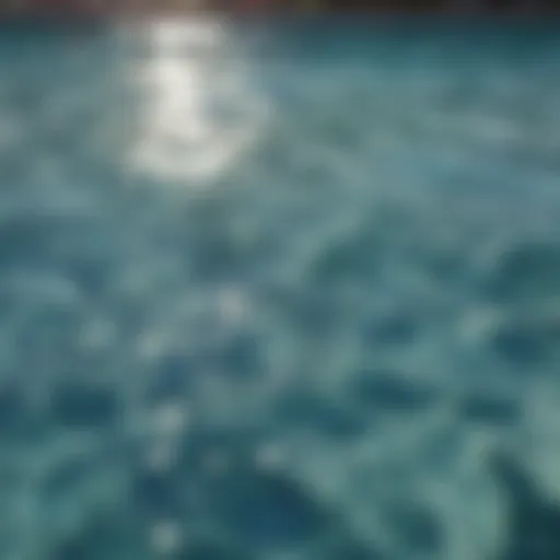 Crystal clear pool water reflecting sunlight