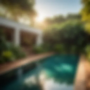 Sunlight filtering through lush greenery onto pool area