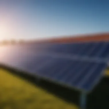 Supply chain dynamics impacting solar panel pricing