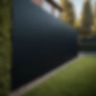 Sustainable Pro-Black Paint Application