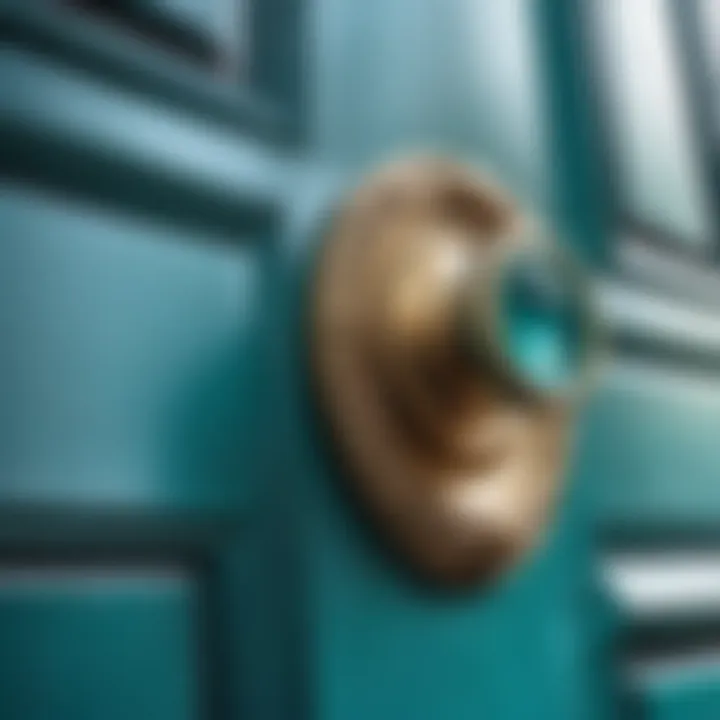 Luxurious teal storm door featuring ornate brass hardware
