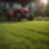 A well-maintained lawn showcasing different mowing patterns
