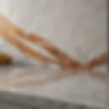 Elegant marble countertop showcasing intricate veining