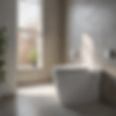 Eco-Friendly Water-Efficient Toilet A water-efficient toilet model demonstrating eco-friendly technology