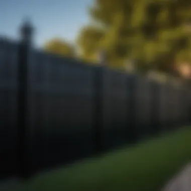 Discover the Transformative Power of Pro-Black Paint Transformative Pro-Black Painted Fence