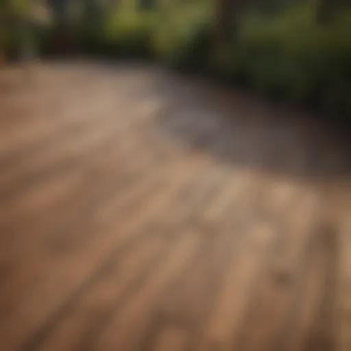 Well-maintained decking boards with a natural finish