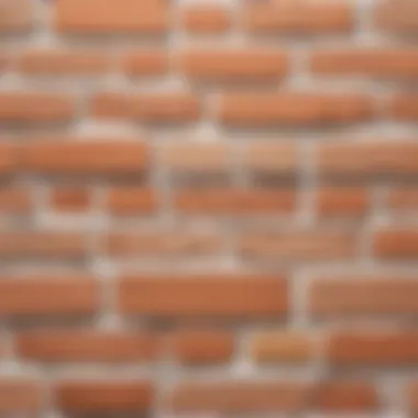 Variety of trendy limewash brick color options for exterior design