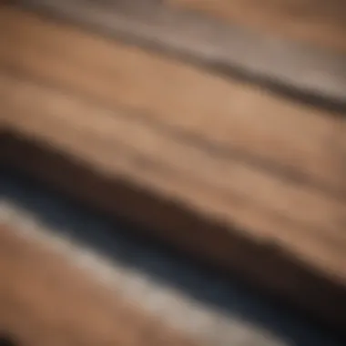 Trex Planks: Texture and Aesthetic Appeal Close-up of Trex planks demonstrating texture and color