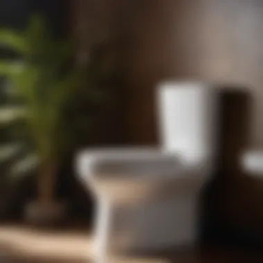 Efficient Features of 19-Inch ADA Toilet Functionalities of 19-Inch ADA Toilet