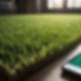 Artificial Turf Calculator Interface