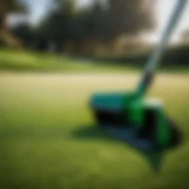 Essential Maintenance Equipment Backyard green maintenance tools