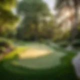 Lush green backyard with golf hole