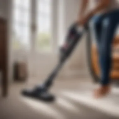 Thorough vacuuming for flea control