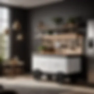 Minimalist black and white kitchen wagon with sleek design