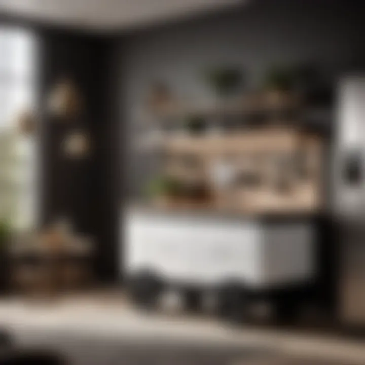 Minimalist black and white kitchen wagon with sleek design