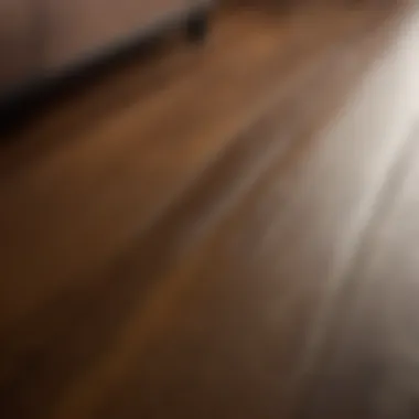 Close-up of vinyl plank floor with streak-free finish
