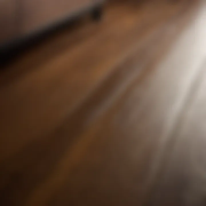 Close-up of vinyl plank floor with streak-free finish