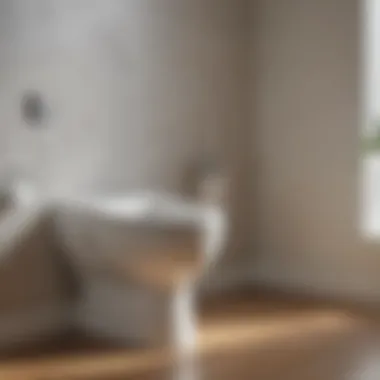 Bidet Attachments vs. Traditional Toilets A comparison chart of bidet attachments versus traditional toilet setups