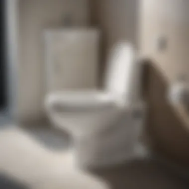A user-friendly guide for the maintenance of bidet toilet attachments