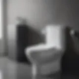 A modern bidet toilet attachment installed on a sleek toilet
