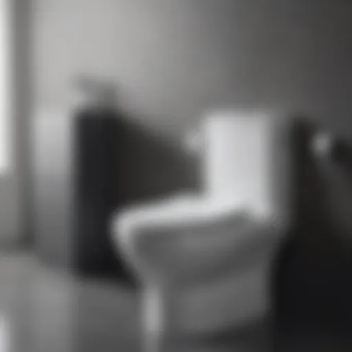A modern bidet toilet attachment installed on a sleek toilet
