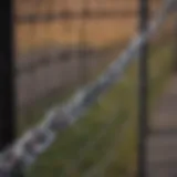 Close-up of barbed wire fence showcasing its robust structure