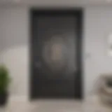Modern doorwall showcasing sleek design