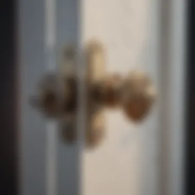 Illustration of double cylinder door lock mechanism