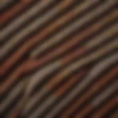 Exploring Various Carpeting Materials Different types of carpeting materials