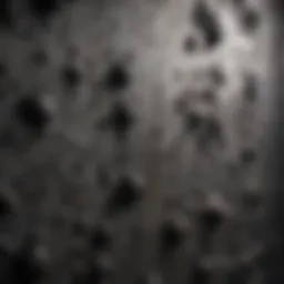 Close-up of black mold on a damp wall