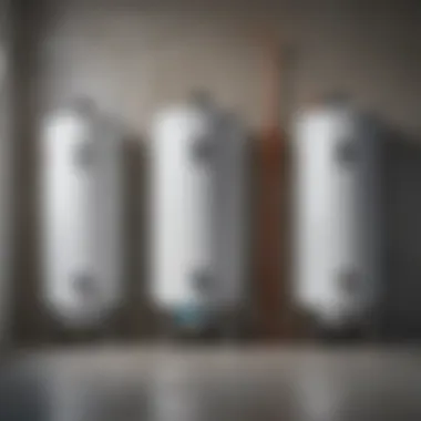 Types of Water Heaters Infographic illustrating different types of water heaters and their features