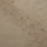 Close-up view of sand wash finish texture showcasing fine aggregates