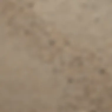 Close-up view of sand wash finish texture showcasing fine aggregates