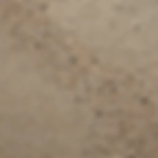 Close-up view of sand wash finish texture showcasing fine aggregates