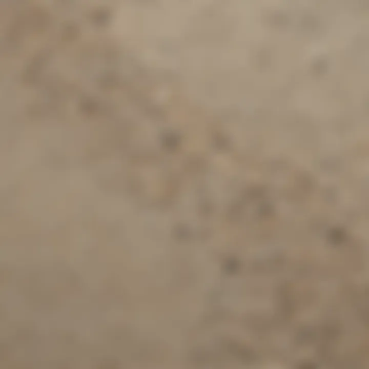 Close-up view of sand wash finish texture showcasing fine aggregates
