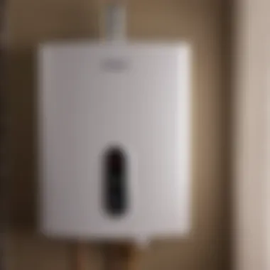 Unveiling the True Value of Electric Tankless Water Heaters Value Analysis of Electric Tankless Water Heater