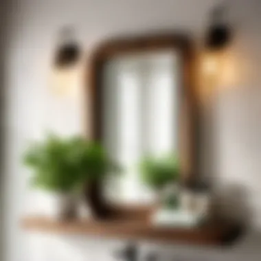 Vintage Farmhouse Decor Display Vintage farmhouse mirror with shelf displaying green plants and toiletries