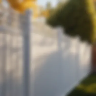 Vinyl fence customization options