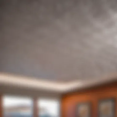 Durable Vinyl Soundproof Ceiling Tiles for Quiet Spaces Vinyl Soundproof Ceiling Tiles