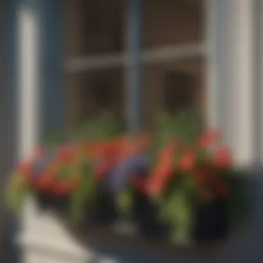 A variety of plants suitable for window flower boxes